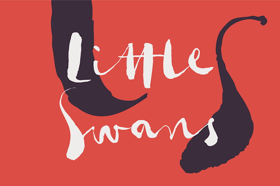Der neue Kinderchor Little Swans Der neue Kinderchor Little Swans