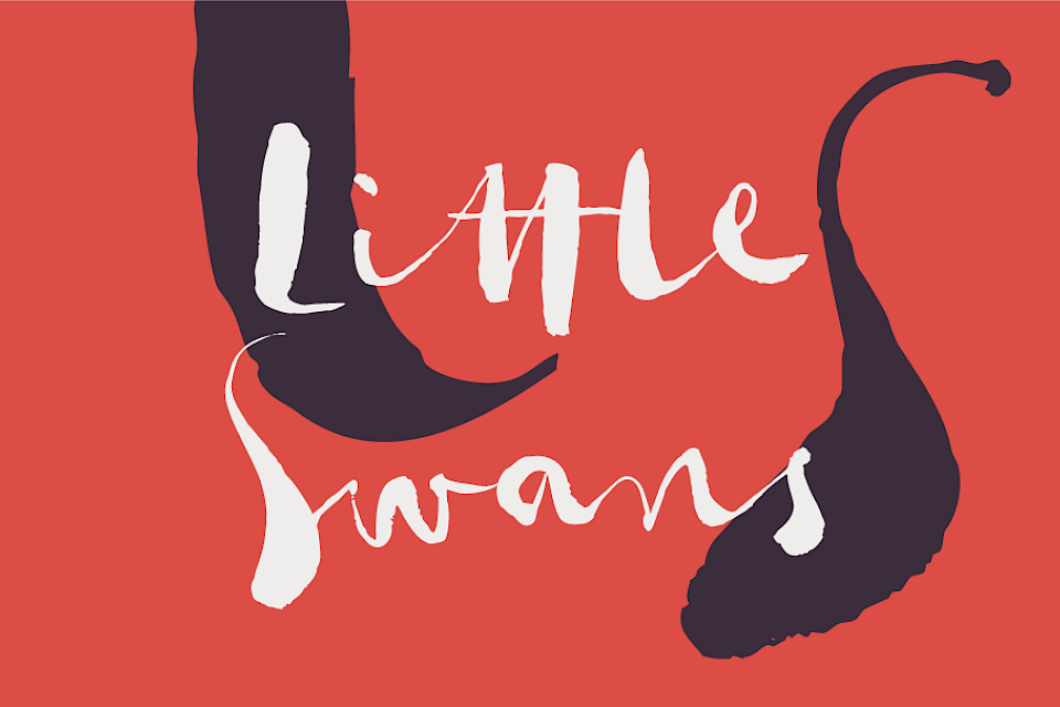 Der neue Kinderchor Little Swans